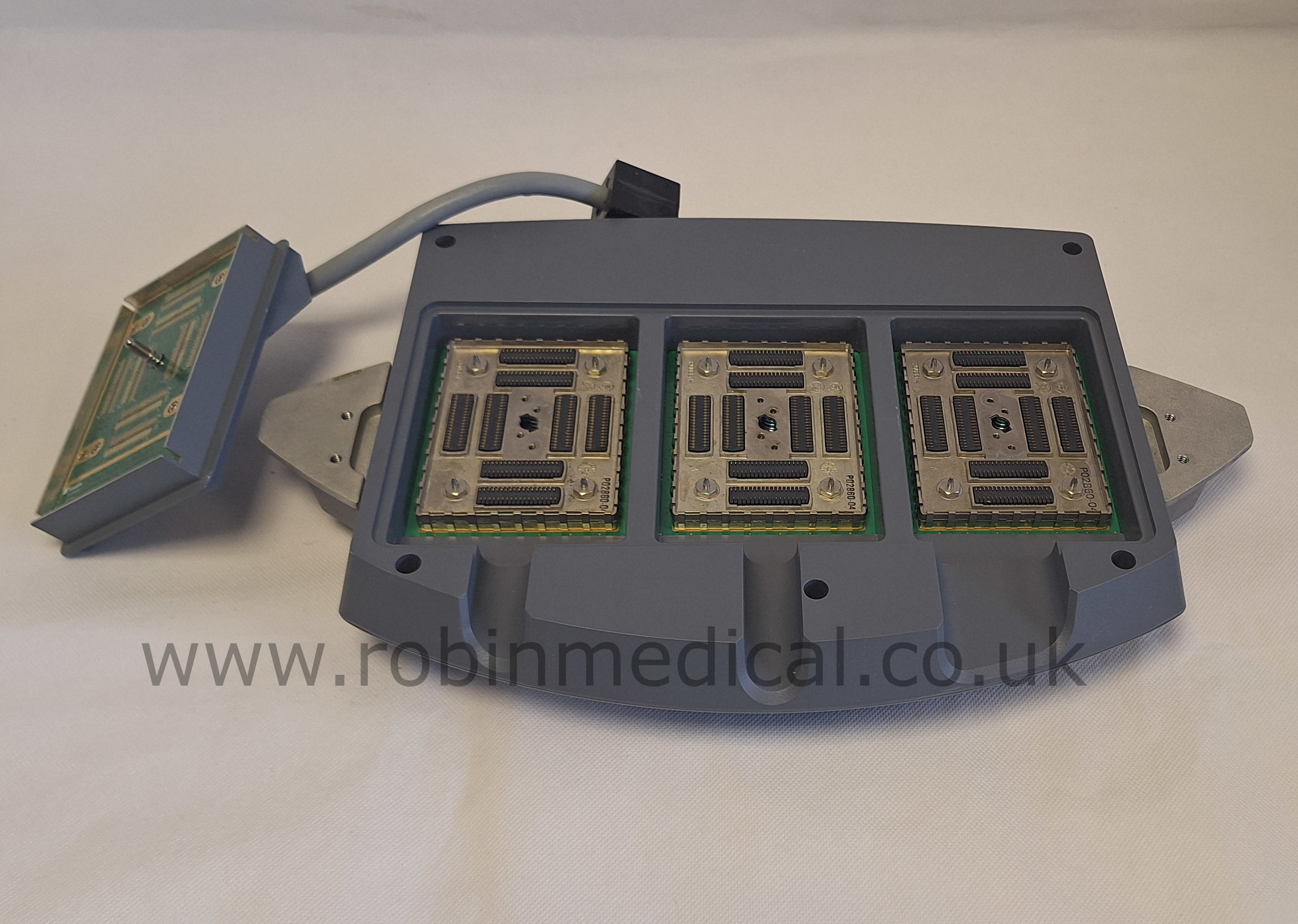 Cropped and Watermarked 1