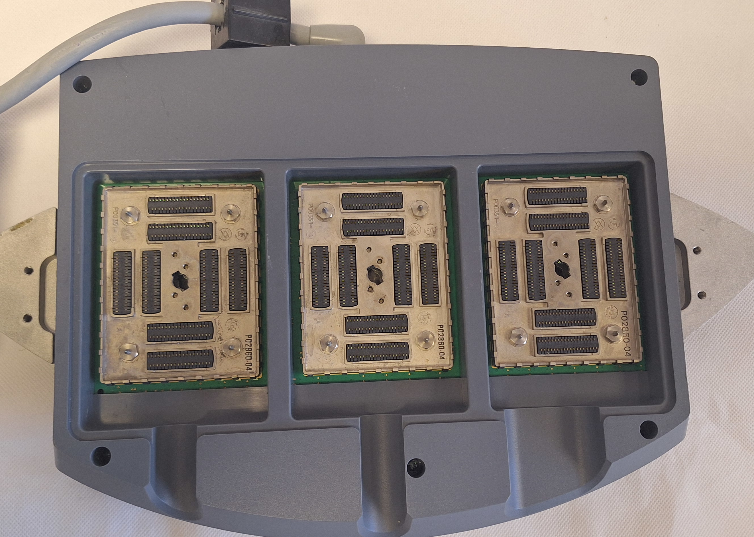 Cropped and Watermarked 2