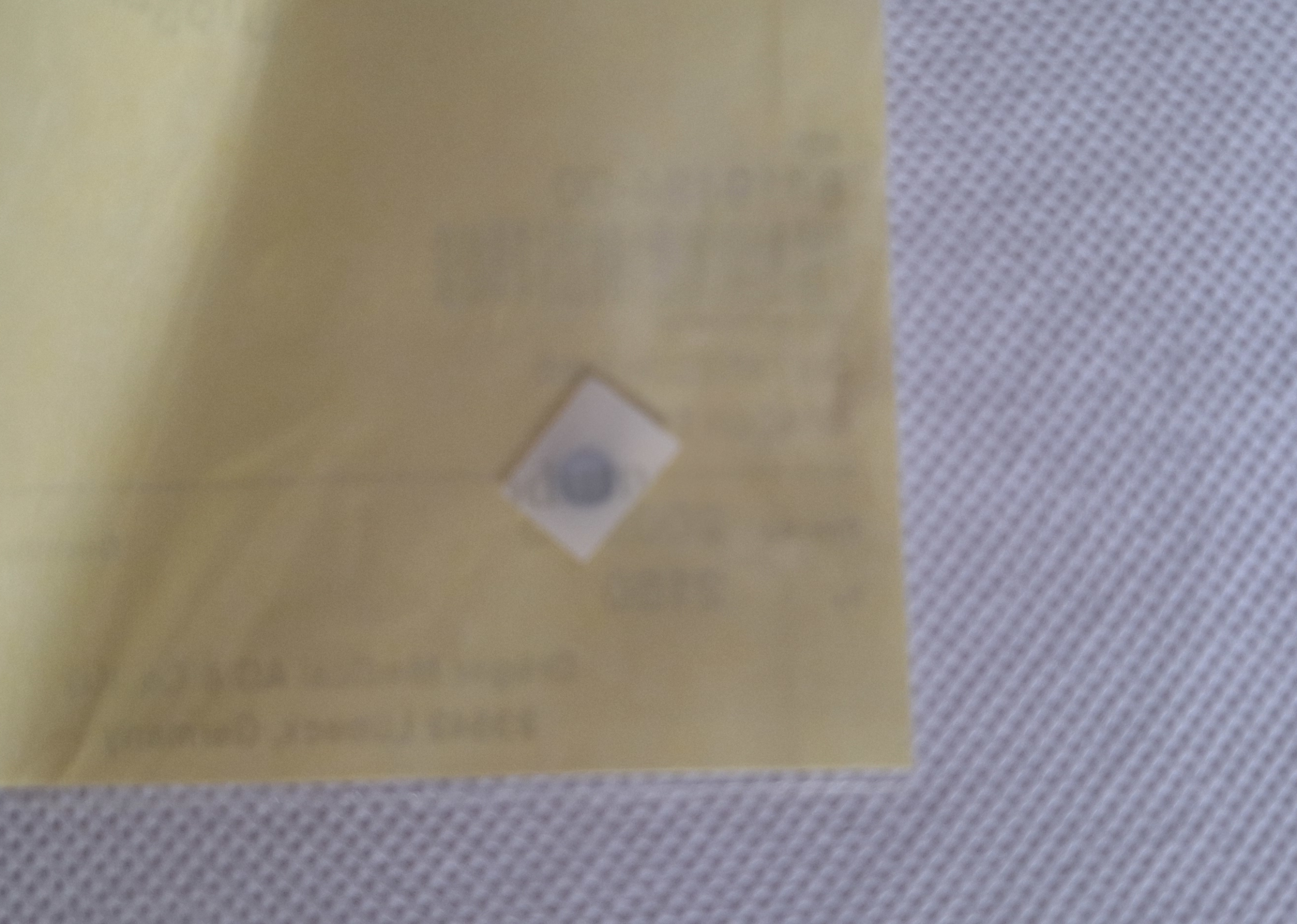 Cropped and Watermarked 1