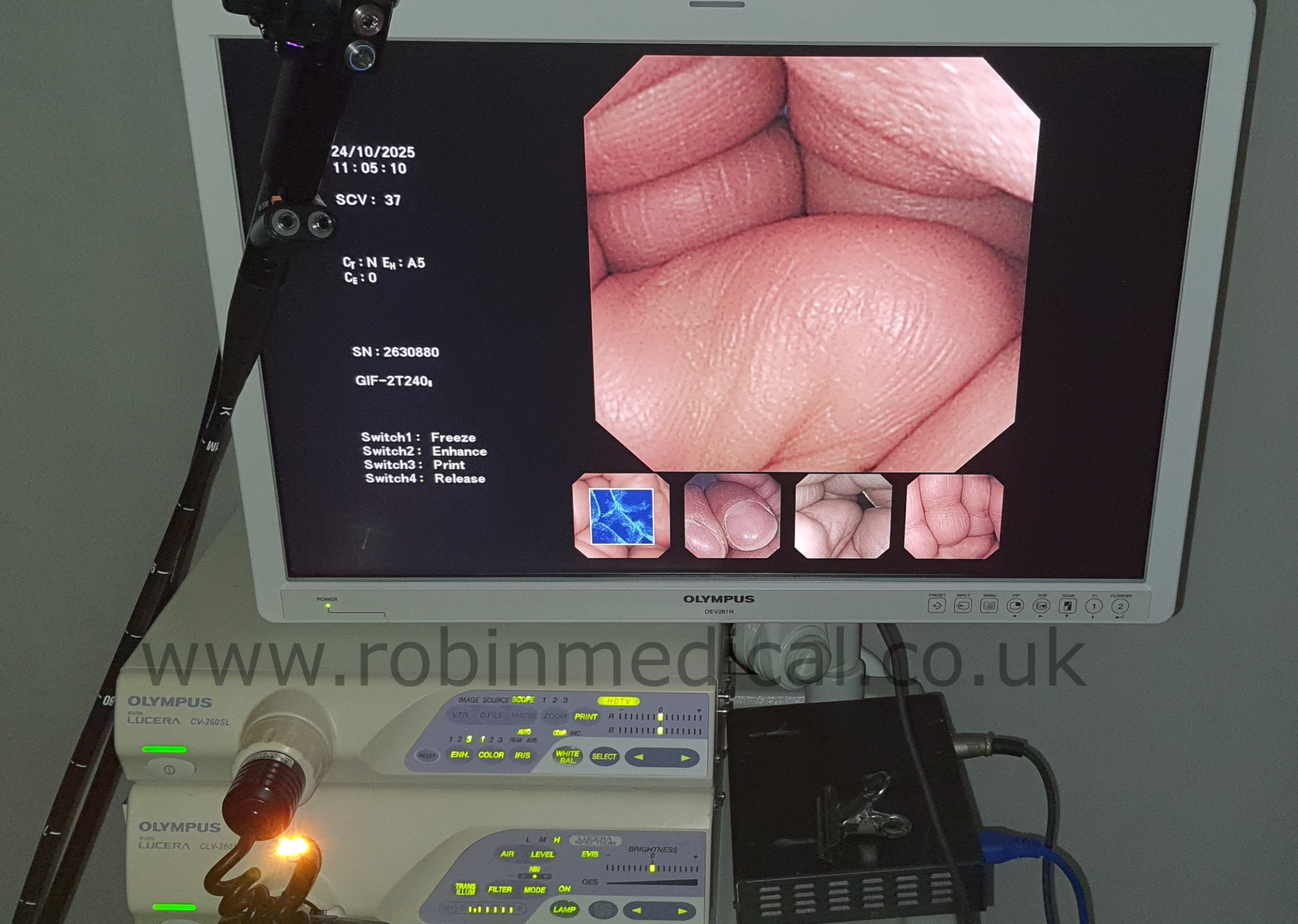 Scope Head Illuminated